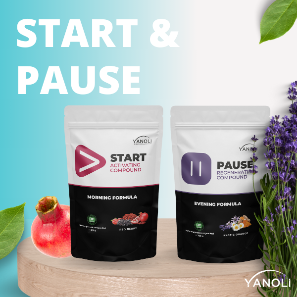 START & PAUSE